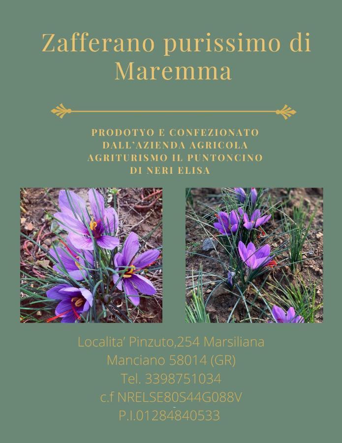Agriturismo Il Puntoncino Марсилиана Экстерьер фото